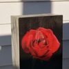 Aaron Black - Matchbook