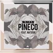 Pineco (feat. Natoxie) artwork