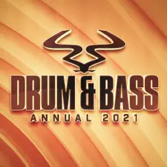 RAM Drum & Bass Annual 2021 by Various Artists album reviews, ratings, credits