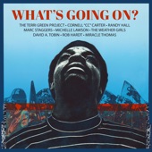 What's Going On (Toddi Reed & Terri Green) artwork