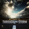 Through the Storm - Single