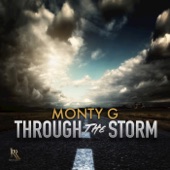 Through the Storm artwork