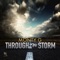Through the Storm artwork