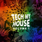 Tech My House Vol. 1 artwork