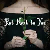 Rot Next to You - Single album lyrics, reviews, download