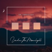 Under the Moonlight artwork