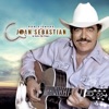 Tatuajes by Joan Sebastian iTunes Track 3