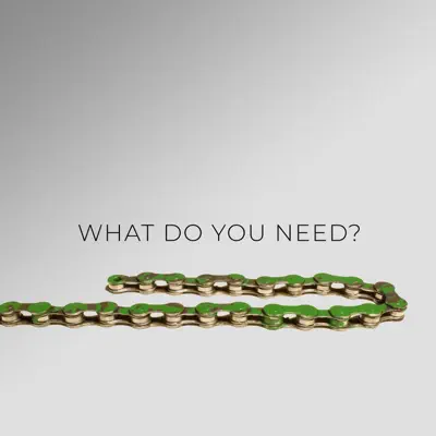 What Do You Need? - Single - Nype