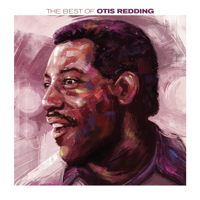 Otis Redding - The Best Of Otis Redding artwork