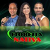 Floresta Nativa (Ao Vivo)