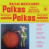 Polkas Polkas Bailes Mexicanos (Instrumental)