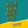 Never Knew About Love (feat. Joe Killington) - Single