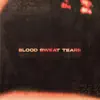 Blood, Sweat, Tears (feat. Caleb Hearn) - Single album lyrics, reviews, download