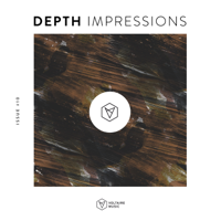 Various Artists - Depth Impressions Issue #10 artwork