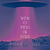 Non ci vedi in giro (feat. Solo) artwork