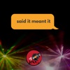 Said It Meant It - Single