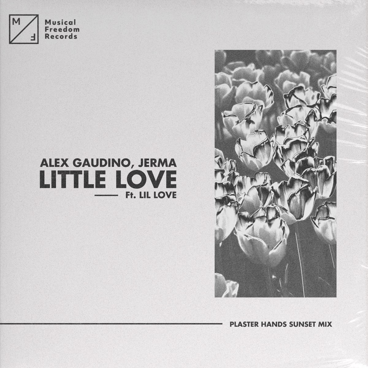 Little love remix. Alex Gaudino Jerma Reaction.
