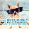 Calm Pet (Ocean Waves) - Calm Pets Music Academy lyrics