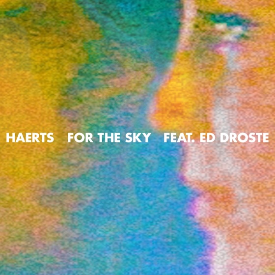 Cover artwork for For the Sky (feat. Ed Droste)