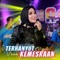 Terhanyut Dalam Kemesraan artwork