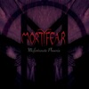 Misfortunate Phoenix - Single