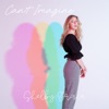 Can't Imagine - Single