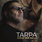 Tarpa artwork