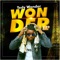 Shaganzy - Teddy Wonder lyrics