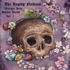 Sleeper Hits: Sordid Youth, Vol. 1 by The Raging Nathans album reviews, ratings, credits