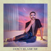 Don't Blame Me artwork