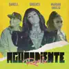 Aguardiente (Remix) - Single album lyrics, reviews, download