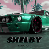Shelby - Mario Joy