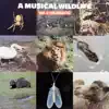 A Musical Wildlife, Vol. 2: Dramatic (2020 Remastered Version) album lyrics, reviews, download
