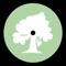 Approach (Diego Krause Remix) - NTFO lyrics