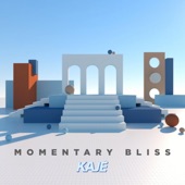 Momentary Bliss artwork