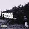 Puddle of Mudd - Blurry artwork