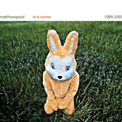 In a Coma - The Best of Matthew Good 1995-2005 - Matthew Good