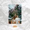 Sakura - Gedaman Sofaking lyrics