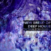 New Breed of Deep House (Nite Grooves 25 Years Essentials)
