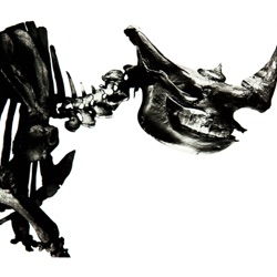 Mr.Children - Hana - Memento-Mori