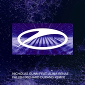 Fallen (feat. Alina Renae) [Richard Durand Remix] artwork