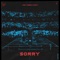 Sorry - Single