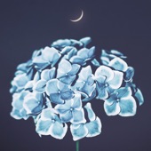 In Moonlight - EP artwork