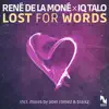 Lost for Words (Remixes) album lyrics, reviews, download