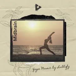 Midbrain by Yoga Music by Lullify & Chakra Meditation Universe album reviews, ratings, credits