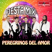 Fiesta Mix Peregrinos del Amor artwork