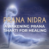 Prana Nidra: Awakening Prana Shakti for Healing artwork