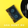 Asa Sunt Eu, 2003