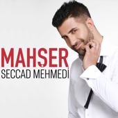 Yürek Sevdasız Olmaz - Seccad Mehmedi