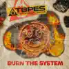 Burn the System (feat. kioko & myki tuff) - Single album lyrics, reviews, download